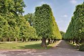 Gartenkunst im Passauer Land - Kooperationen - Stiftung Schloss und Park Benrath