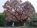 Gartenkunst im Passauer Land - Kooperationen - Stiftung Schloss und Park Benrath