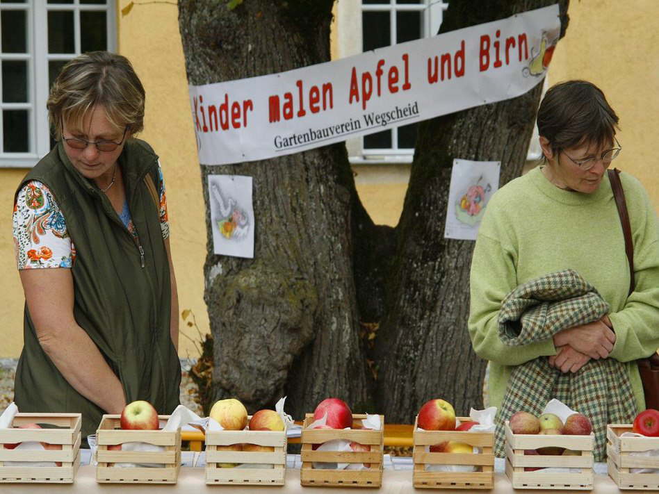 streuobsttag-neu02