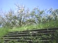 Gartenkunst im Passauer Land - Schloss und Park Freudenhain in Passau