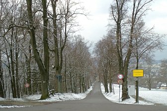 Gartenkunst im Passauer Land - Lindenallee in Ortenburg