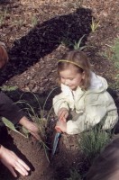 Gartenkunst im Passauer Land - Publikationen - Im Land wo Milch und Honig flieen