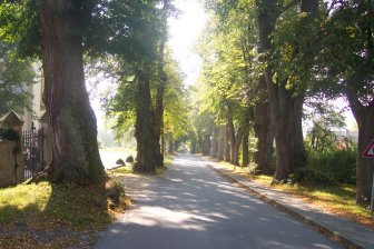 Gartenkunst im Passauer Land - Lindenallee in Ortenburg