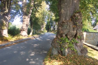 Gartenkunst im Passauer Land - Tag der Lindenallee in Ortenburg