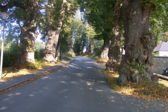 Gartenkunst im Passauer Land - Lindenallee in Ortenburg