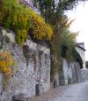 Gartenkunst im Passauer Land - Orangeriegewchshaus in Passau