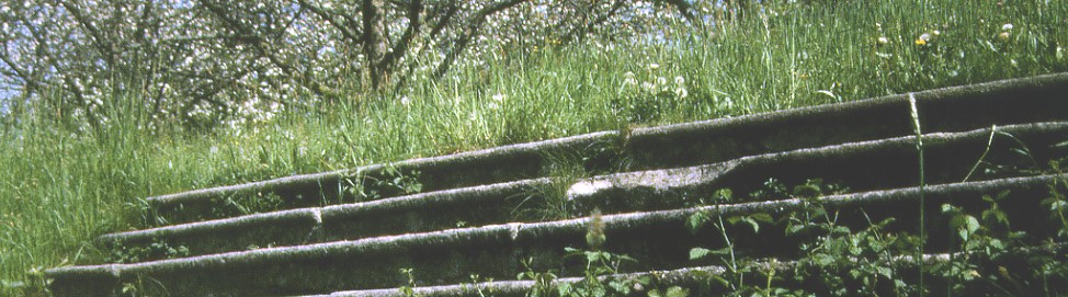 Gartenkunst im Passauer Land - Publikation