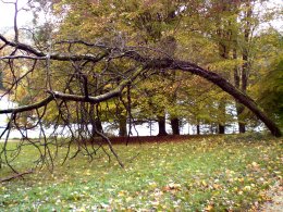 Gartenkunst im Passauer Land - Grtnern wie die Profis - Praktische Gartendenkmalpflege