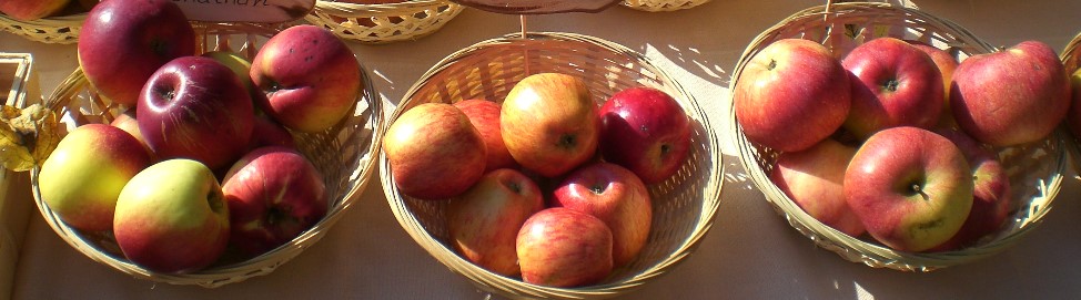 Gartenkunst im Passauer Land - Streuobsttag