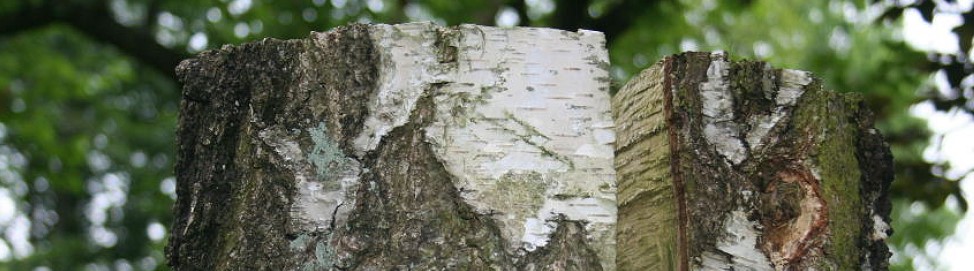 Gartenkunst im Passauer Land - Video - Bibelgrtner